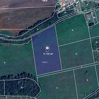 Prodej louky 11131 m&sup2; Břasy