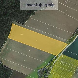 Prodej zemědělské půdy 2512 m² Plzeň