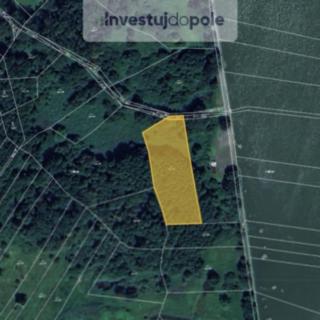 Prodej louky 4 246 m² Choryně