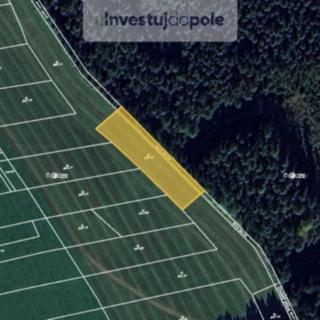 Prodej louky 1 237 m² Dlouhá Třebová