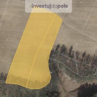 Prodej zemědělské půdy 28 667 m² Dobřeň