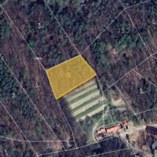 Prodej lesa 899 m² Stříbrnice