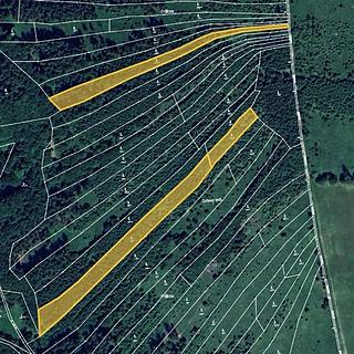 Prodej lesa 793 m² Nedašov