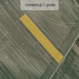 Prodej zemědělské půdy 2 827 m² Chrast