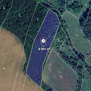 Prodej lesa 6001 m² Vysoká