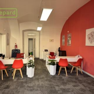 Pronájem obchodu 38 m² Sokolov