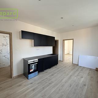 Pronájem bytu 1+1 49 m&sup2; Karlovy Vary