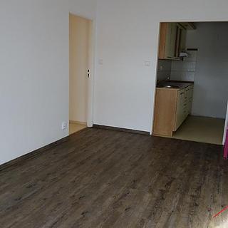 Pronájem bytu 2+kk 45 m² Praha Chodov, V jezírkách