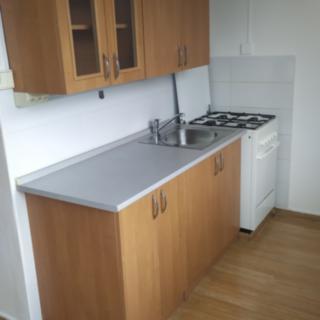 Pronájem bytu 1+1 31 m² Ostrava Výškovice, 29. dubna