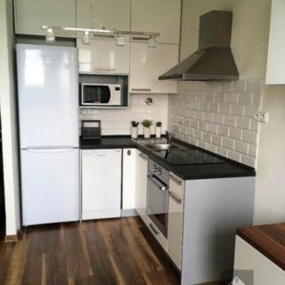 Pronájem bytu 2+kk 52 m² Ostrava, U Studia