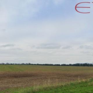 Prodej zemědělské půdy 55 326 m² Ptýrov