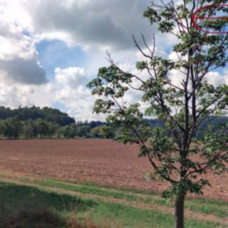 Prodej louky 16 112 m² Rovensko pod Troskami