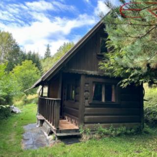 Prodej chaty 35 m² Zlatá Olešnice Stanový