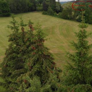Prodej stavební parcely 2 968 m² Slaná Hořensko