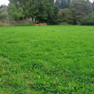 Prodej stavební parcely 2 640 m² Králova Lhota Laziště