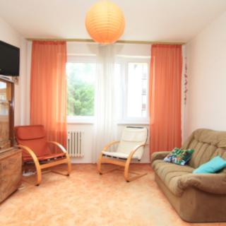 Pronájem bytu 1+1 48 m² Nová Role