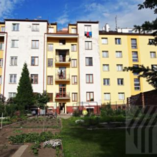 Pronájem bytu 1+kk a garsoniéry 30 m² Pardubice Zelené Předměstí, Železničního pluku