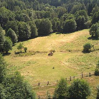 Prodej stavební parcely 3 446 m² Olešnice v Orlických horách