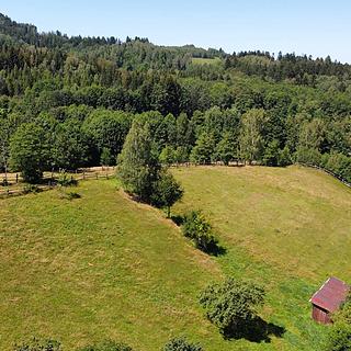 Prodej stavební parcely 4 823 m² Olešnice v Orlických horách