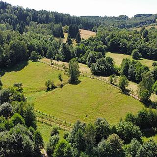 Prodej stavební parcely 2456 m&sup2; Olešnice v Orlických horách