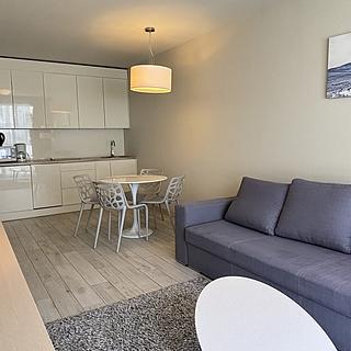 Prodej hotelu a penzionu 41 m² Dolní Morava