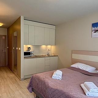 Prodej hotelu a penzionu 28 m² Dolní Morava
