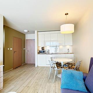 Prodej hotelu a penzionu 41 m² Dolní Morava