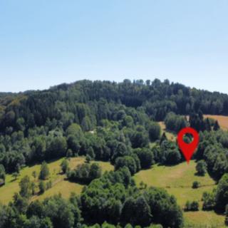 Prodej stavební parcely 3 446 m² Olešnice v Orlických horách