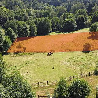 Prodej stavební parcely 3027 m&sup2; Olešnice v Orlických horách