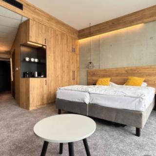 Prodej hotelu a penzionu 31 m² Dolní Morava