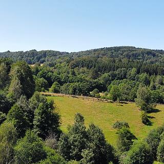 Prodej stavební parcely 4589 m&sup2; Olešnice v Orlických horách