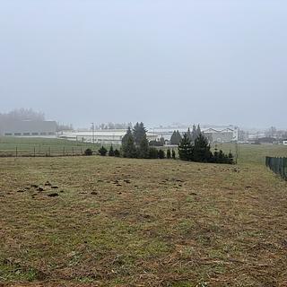 Prodej stavební parcely 1 593 m² Lomnice nad Popelkou