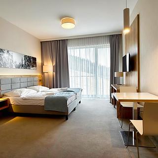 Prodej hotelu, penzionu 28 m&sup2; Dolní Morava