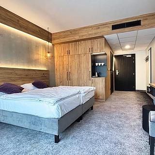 Prodej hotelu a penzionu 29 m² Dolní Morava