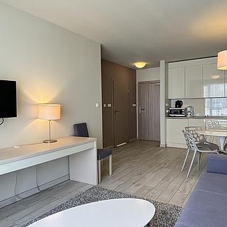 Prodej hotelu a penzionu 41 m² Dolní Morava