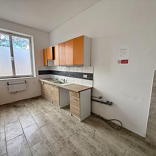 Pronájem hotelu a penzionu 15 m² Lipno Drahomyšl