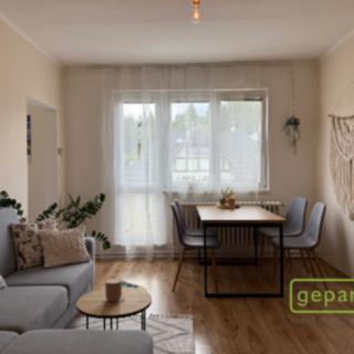 Pronájem bytu 3+1 59 m² Hlubočky Mariánské Údolí, Letní