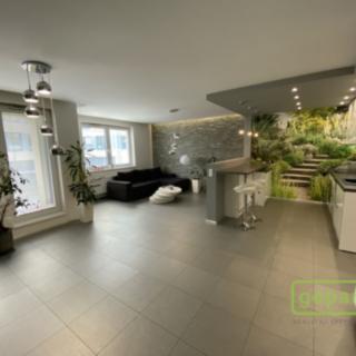 Pronájem bytu 1+kk a garsoniéry 63 m² Olomouc Nová Ulice, Wellnerova