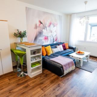 Prodej bytu 2+kk 39 m² České Budějovice 7, Papírenská