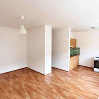 Pronájem bytu 1+kk a garsoniéry 28 m² Frýdek-Místek Frýdek, Sadová