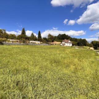 Prodej stavební parcely 1 450 m² Děčín XXV-Chmelnice, V Lukách