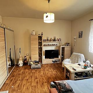 Prodej bytu 1+1 48 m&sup2; Křešice