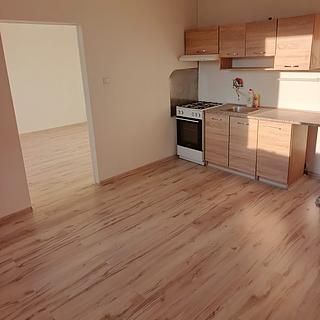 Pronájem bytu 1+1 36 m² Ústí nad Labem Střekov, Truhlářova