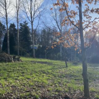 Prodej stavební parcely 1 217 m² Jablonec nad Nisou Proseč nad Nisou, Nad Školkou