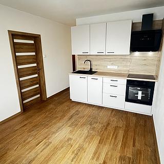 Prodej bytu 1+1 35 m&sup2; Litoměřice