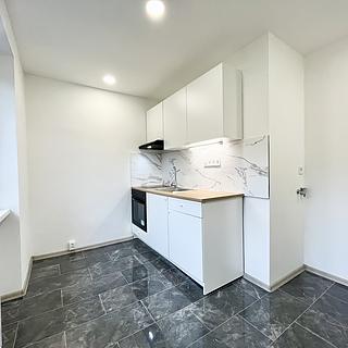 Pronájem bytu 2+1 54 m² Ústí nad Labem Ústí nad Labem-centrum, Důlce