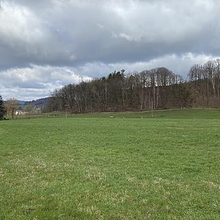 Prodej stavební parcely 1 891 m² Raspenava, Lužecká