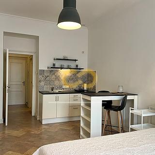 Pronájem bytu 1+kk a garsoniéry 26 m² Praha Vinohrady, Vozová
