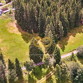 Prodej stavební parcely 2 152 m² Přední Výtoň