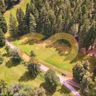 Prodej stavební parcely 2 152 m² Přední Výtoň